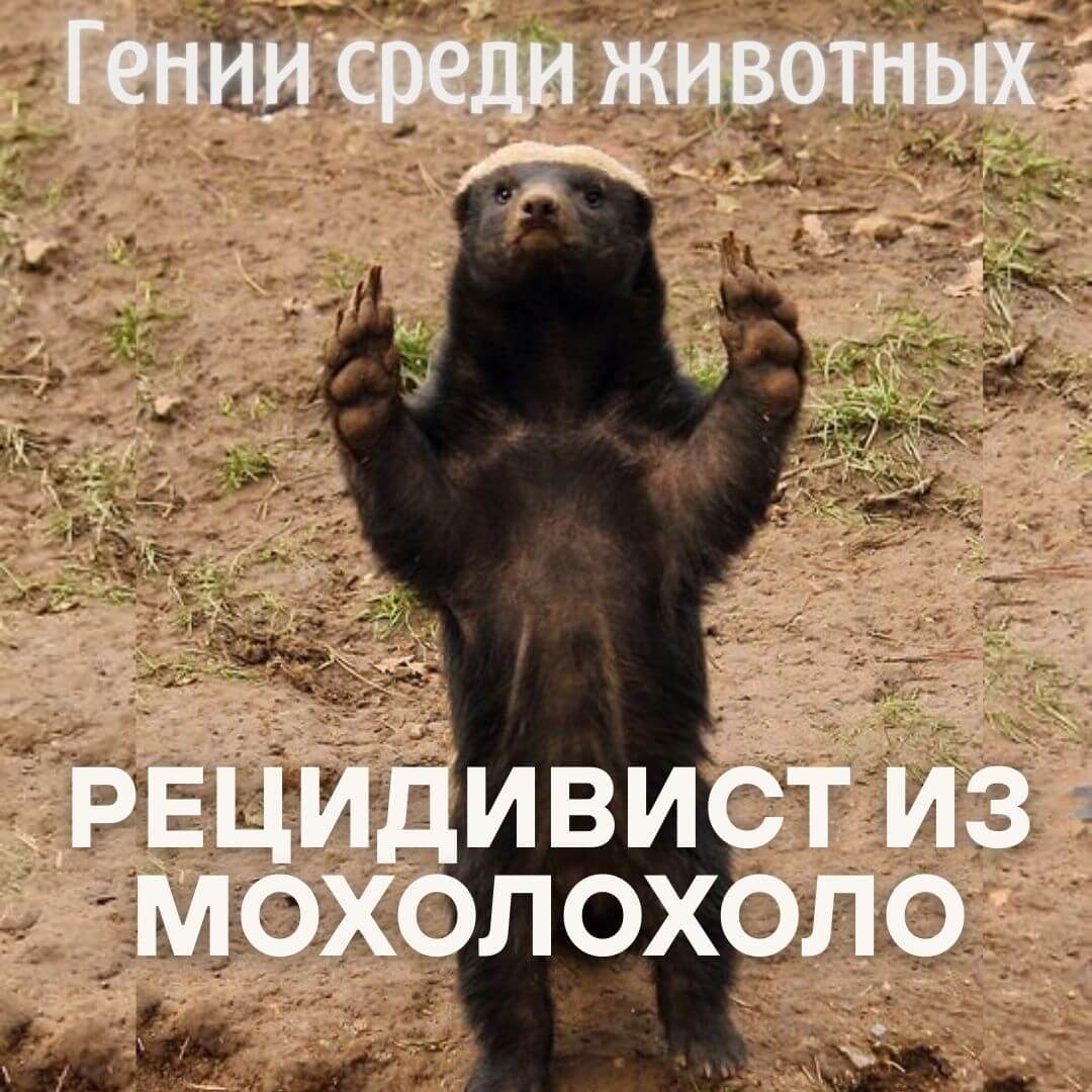 Побег из Мохолохоло